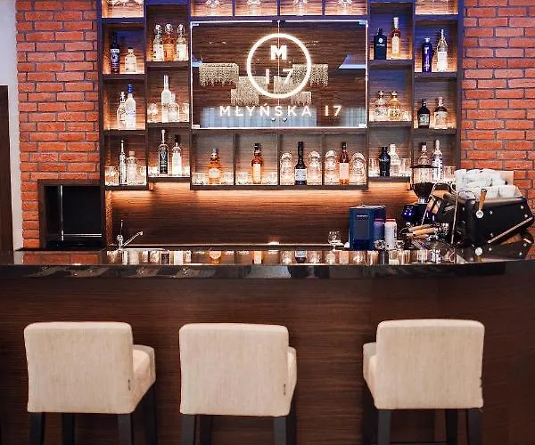 Przy Mlynie Hotel 3*